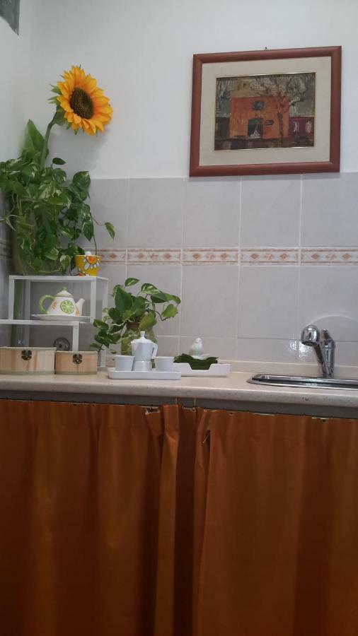 Le Tre Sorelle B&B Garbatella Roma Ngoại thất bức ảnh
